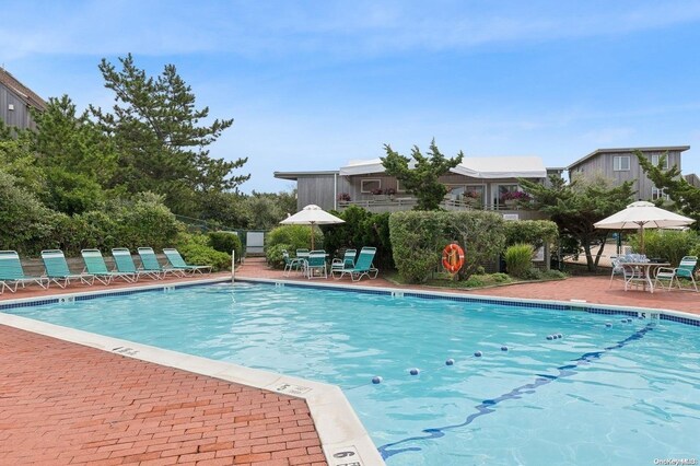 view of pool featuring a patio area