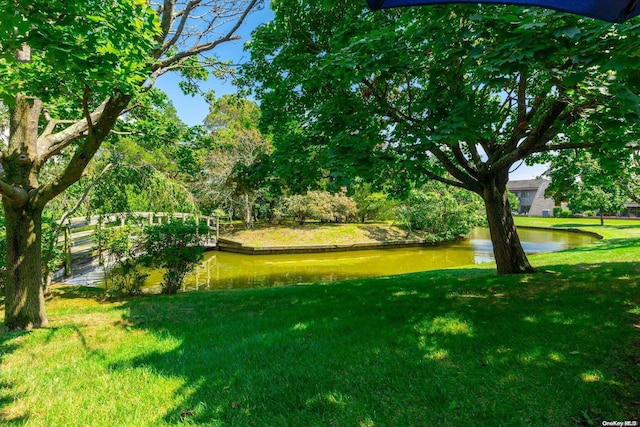 view of yard with a water view