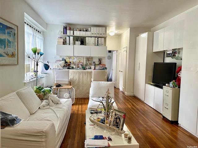 living room with dark wood-type flooring