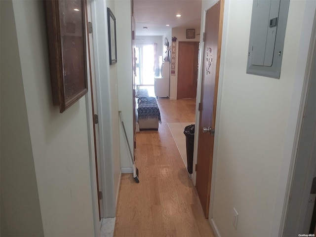 corridor featuring light hardwood / wood-style floors and electric panel