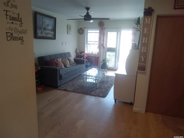 living room featuring ceiling fan and hardwood / wood-style floors