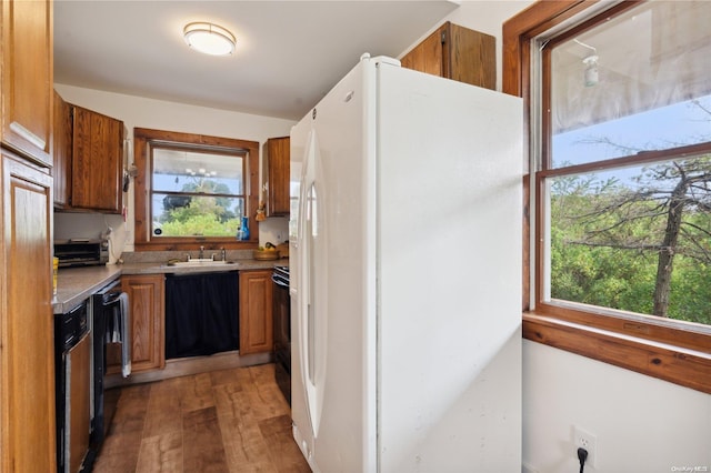 kitchen with dishwasher, dark hardwood / wood-style flooring, white fridge, and sink