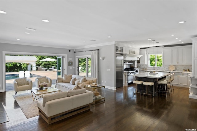 living room featuring dark hardwood / wood-style floors, ornamental molding, and sink