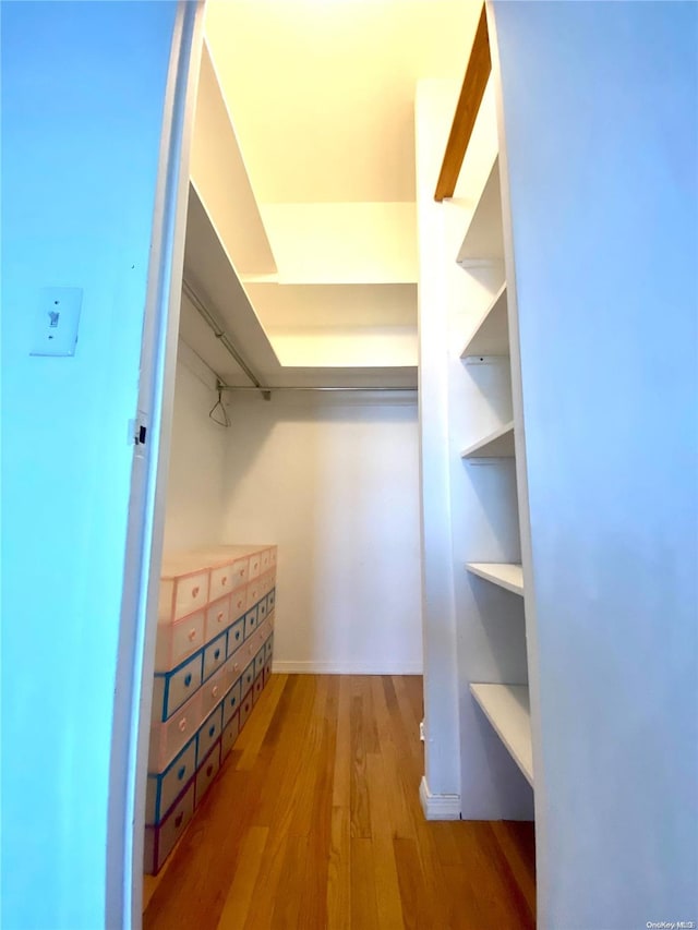 walk in closet with wood-type flooring