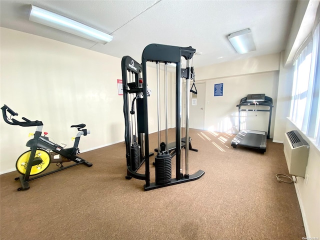 workout area featuring a wealth of natural light