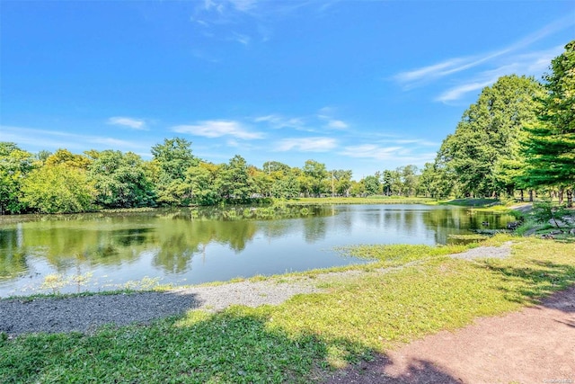 property view of water