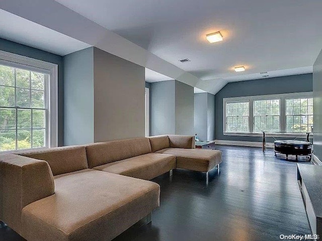 living room featuring lofted ceiling and dark wood-type flooring