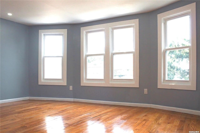 empty room with light wood-type flooring