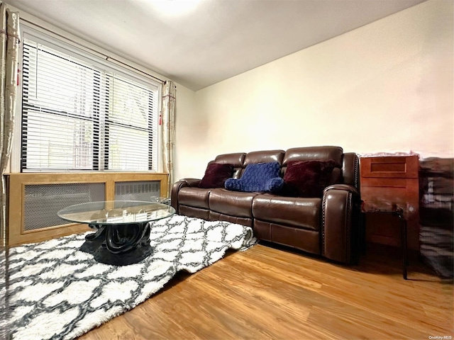 living room with hardwood / wood-style flooring