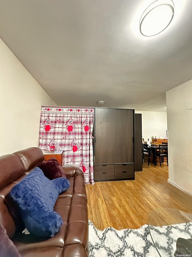 living room with wood-type flooring