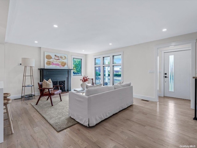 living room featuring light hardwood / wood-style floors