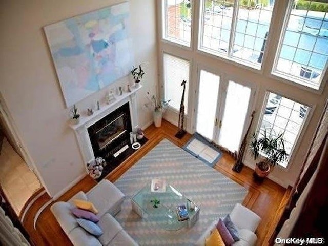 living room with plenty of natural light and a high ceiling