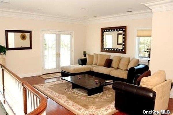 living room featuring crown molding, a wealth of natural light, and french doors