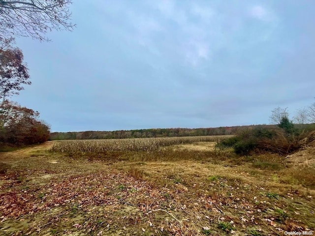 Moriches Riverhd Rd, Eastport NY, 11941 land for sale