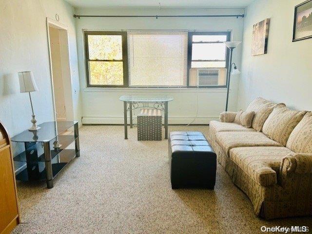 living room featuring carpet and a healthy amount of sunlight