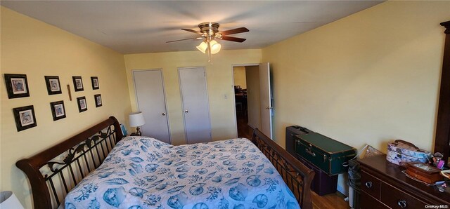 bedroom with hardwood / wood-style floors, ceiling fan, and two closets