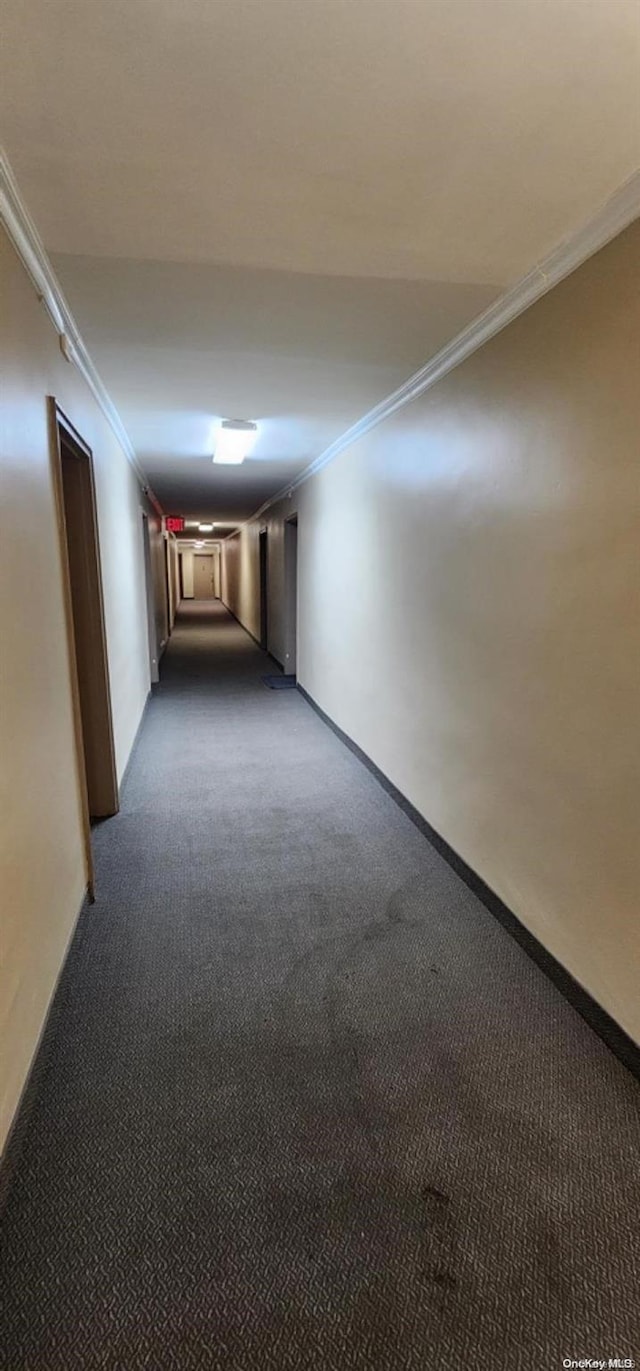 175-45 88th Ave Unit 7C, Jamaica, NY 11432 - hall featuring ornamental molding, dark colored carpet, and baseboards