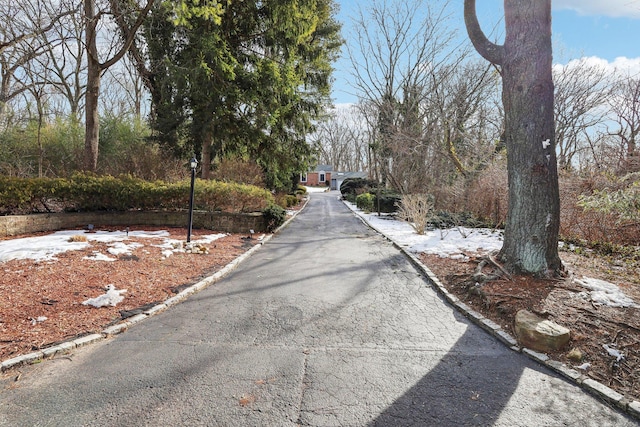 view of street featuring street lights and curbs