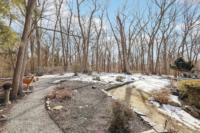 view of yard covered in snow