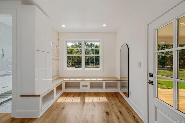 mudroom featuring a wealth of natural light and light hardwood / wood-style flooring