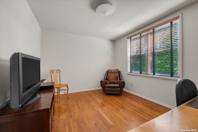 office with light wood-type flooring