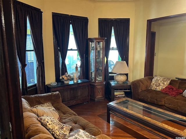 living room featuring a healthy amount of sunlight and dark hardwood / wood-style flooring