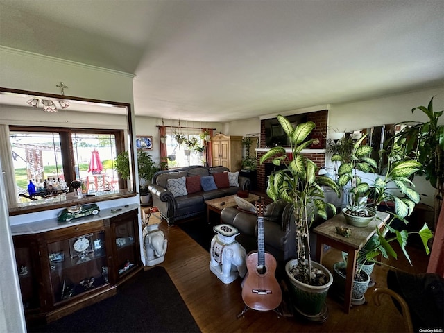 living room with dark hardwood / wood-style flooring