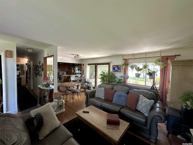 living room featuring wood-type flooring