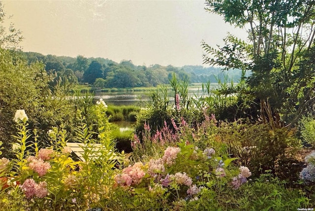 property view of mountains featuring a water view