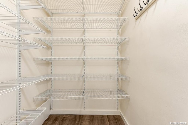 walk in closet featuring dark hardwood / wood-style flooring