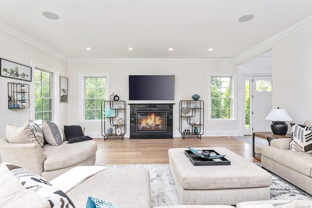 living room with ornamental molding and light hardwood / wood-style floors