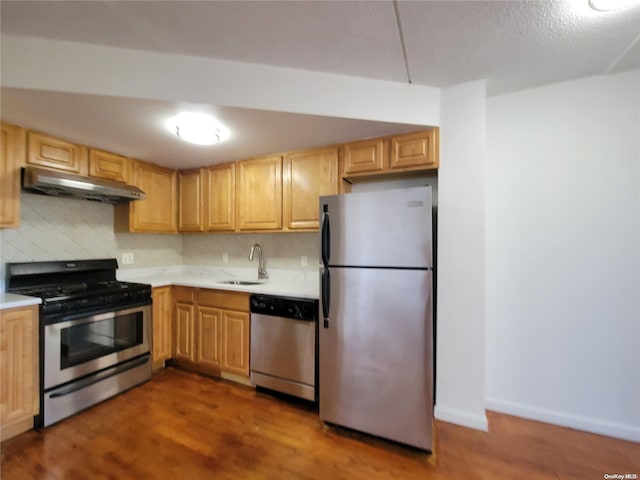 kitchen with ventilation hood, backsplash, stainless steel appliances, and sink