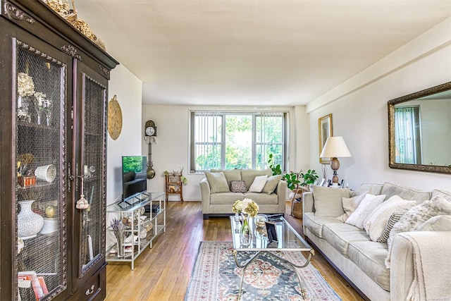 living room with wood-type flooring