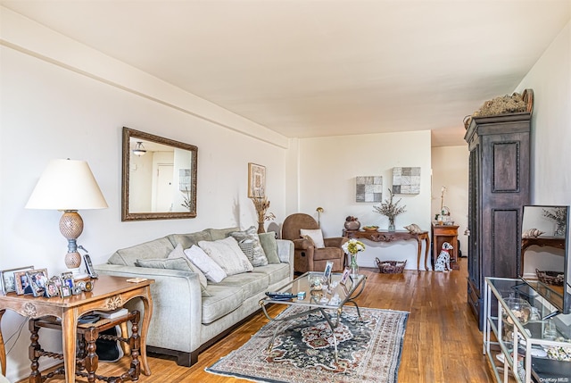 living room featuring dark hardwood / wood-style flooring