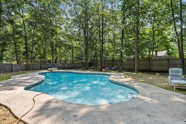 view of swimming pool with a patio