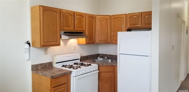 kitchen with white appliances and sink