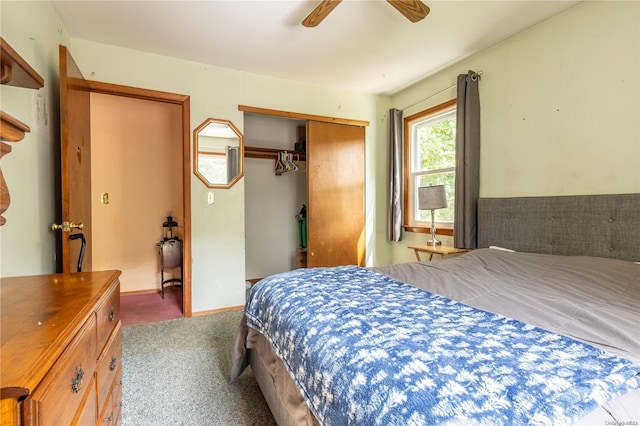 carpeted bedroom featuring ceiling fan and a closet