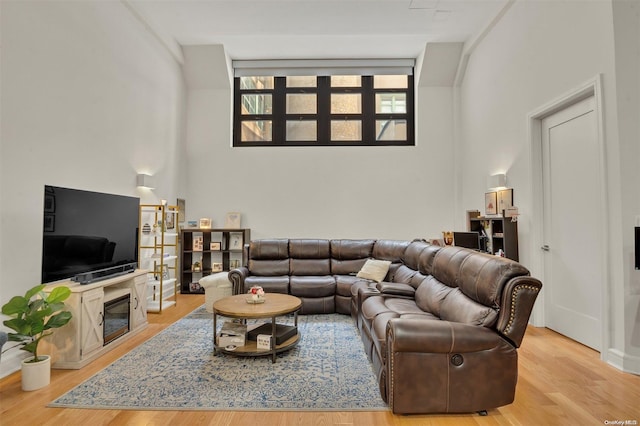 living room featuring light hardwood / wood-style flooring