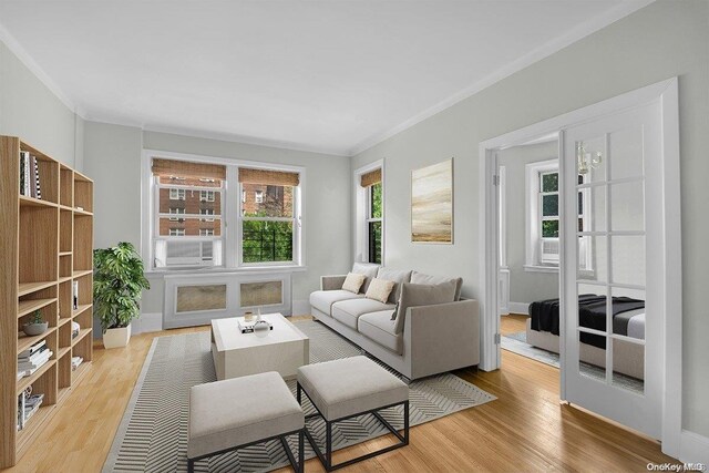 living room with light wood-type flooring and ornamental molding