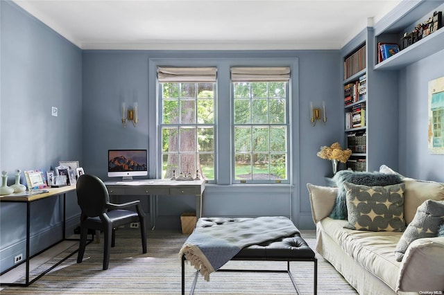 office featuring ornamental molding and a healthy amount of sunlight