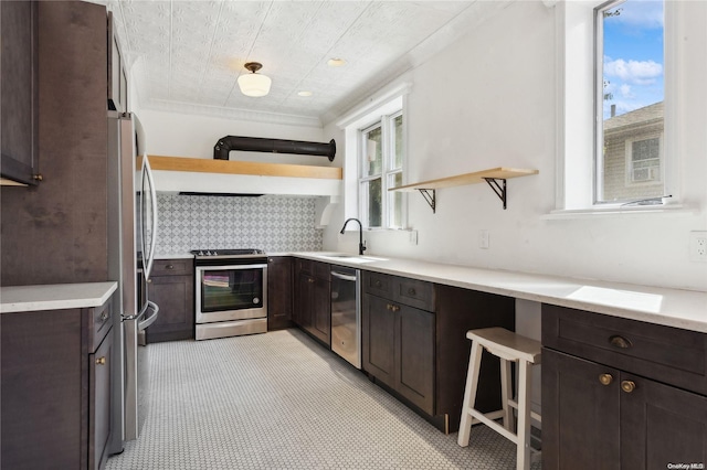 kitchen featuring dark brown cabinets, stainless steel appliances, a wealth of natural light, and sink