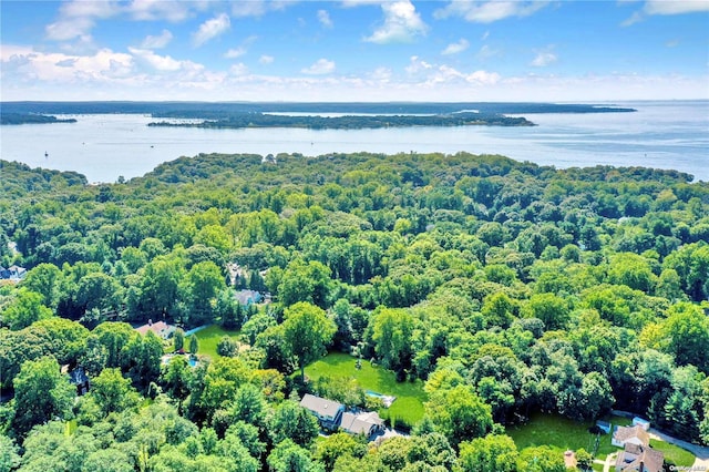 aerial view with a water view and a forest view