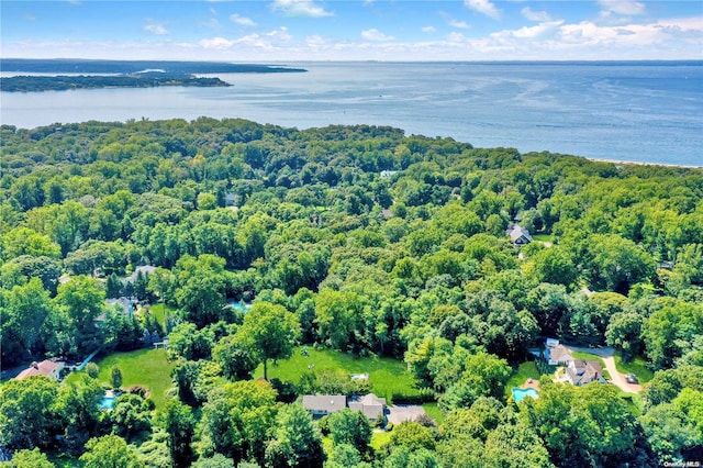 birds eye view of property with a water view and a view of trees