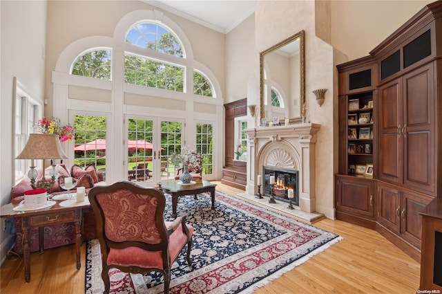 interior space with a wealth of natural light, light hardwood / wood-style flooring, and a high ceiling