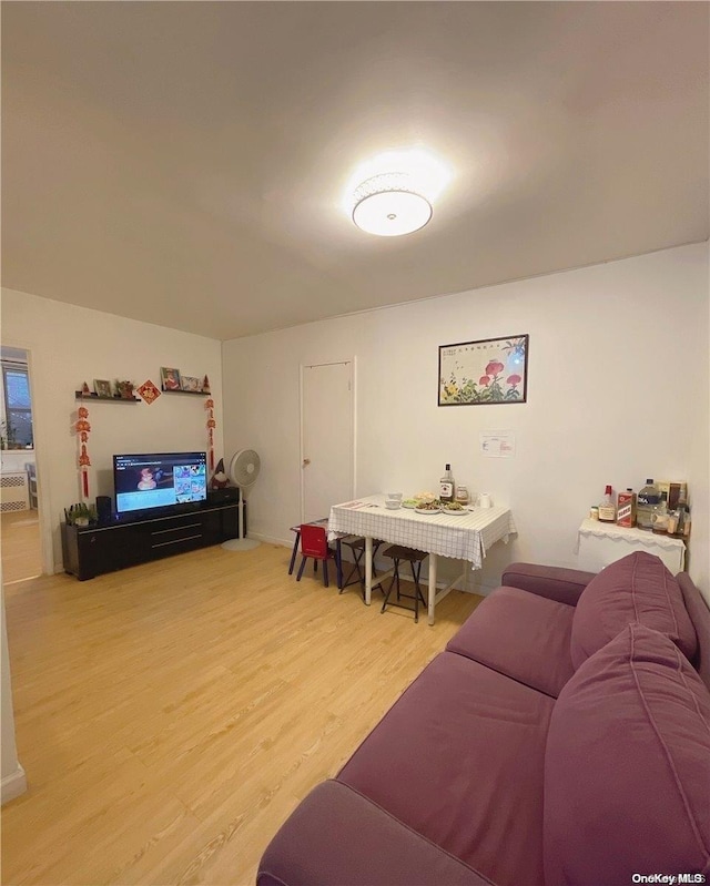 living room featuring hardwood / wood-style floors