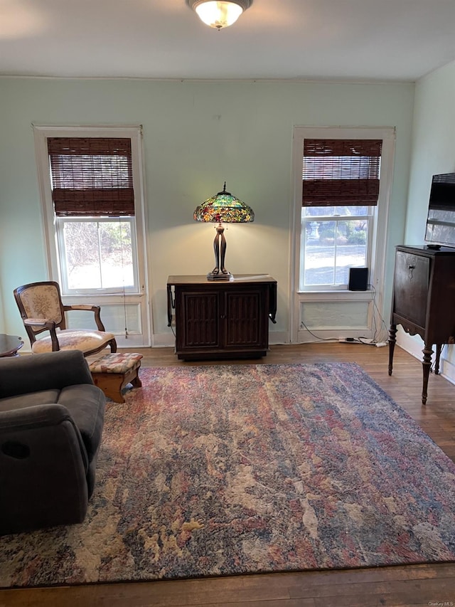 living area featuring plenty of natural light and wood-type flooring