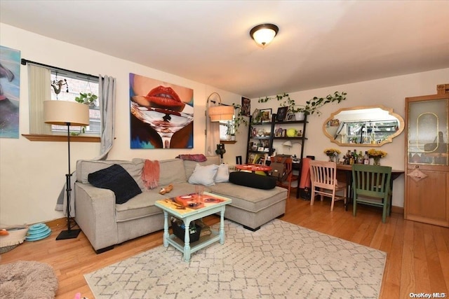 living room with wood-type flooring