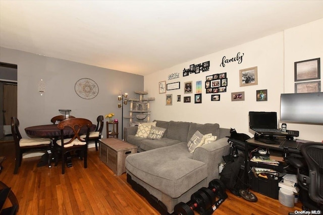 living room with wood-type flooring