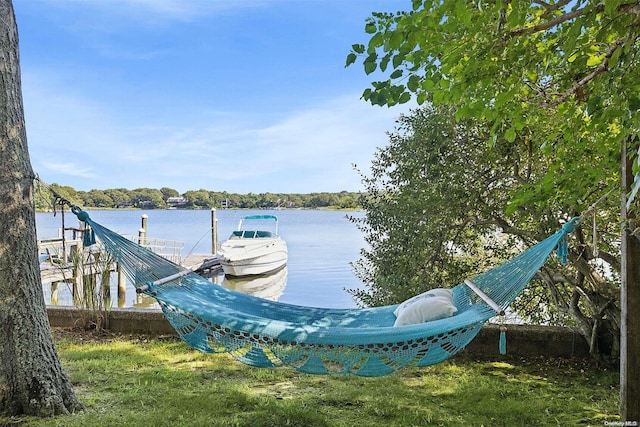 dock area with a water view