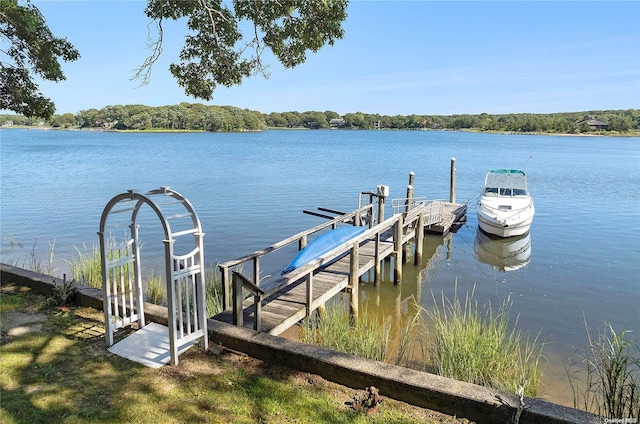 dock area with a water view